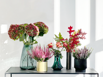Dim, noella and spinn vases